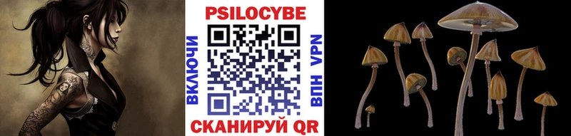 Псилоцибиновые грибы GOLDEN TEACHER Кирсанов