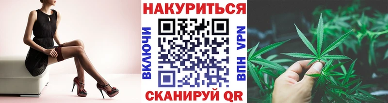 Купить где  Кирсанов  Шишки марихуана SATIVA & INDICA 